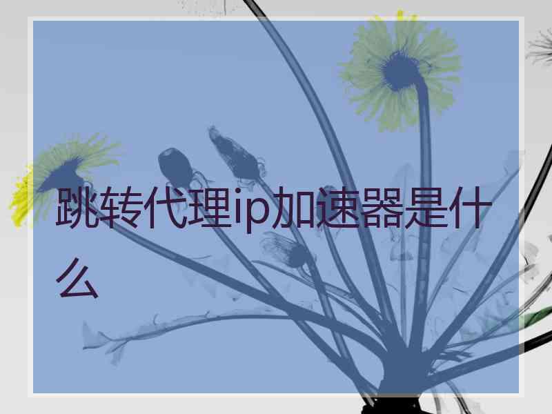 跳转代理ip加速器是什么