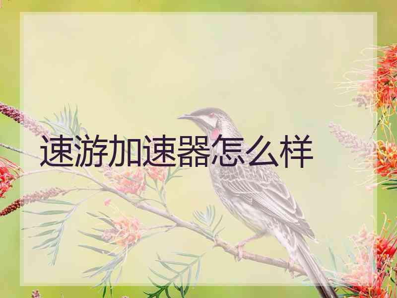 速游加速器怎么样