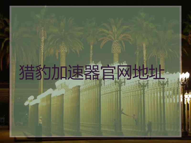 猎豹加速器官网地址