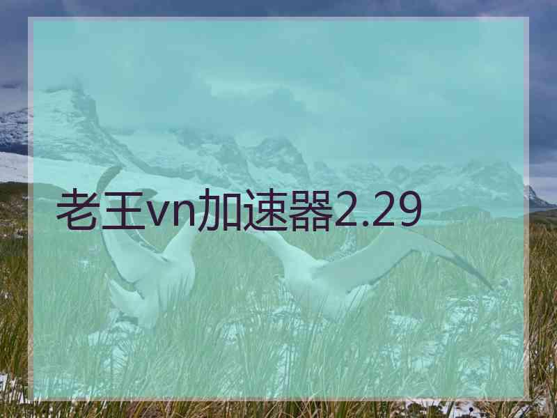 老王vn加速器2.29