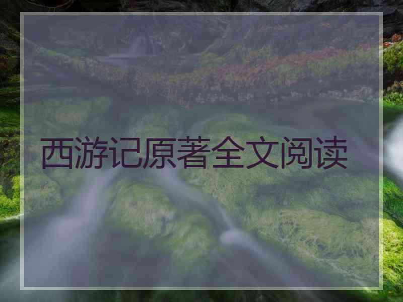 西游记原著全文阅读