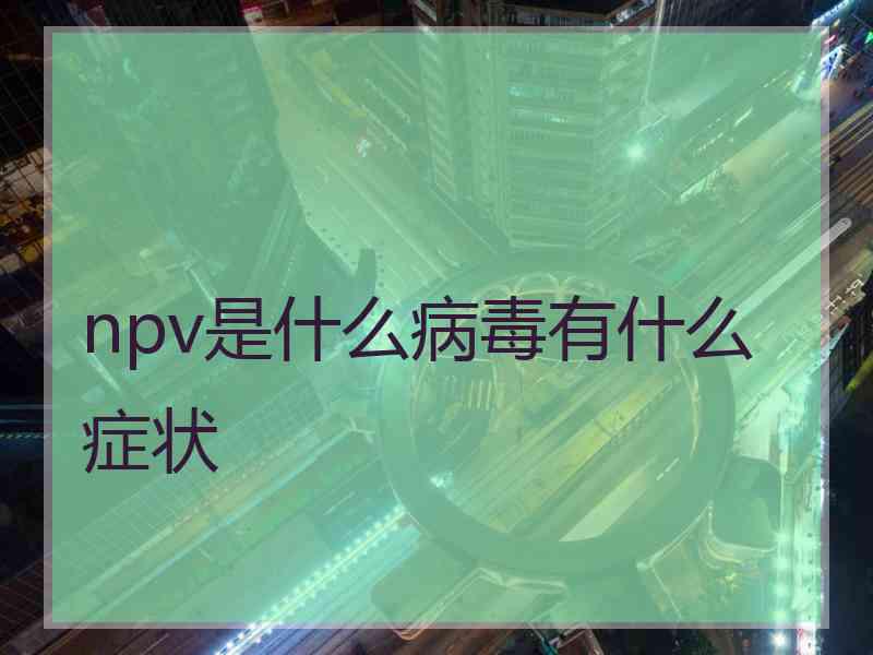 npv是什么病毒有什么症状