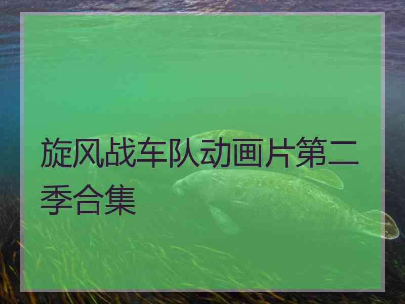旋风战车队动画片第二季合集