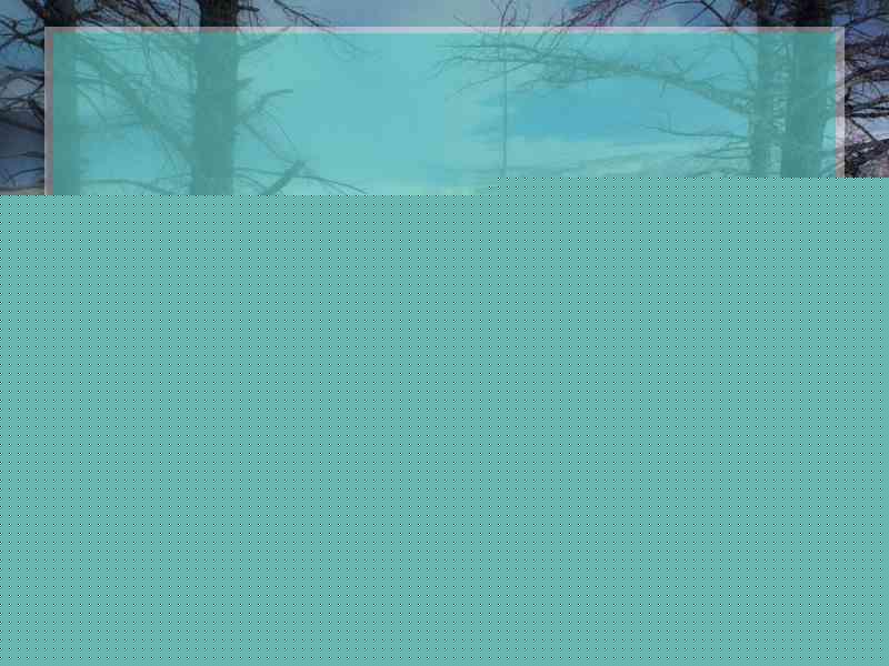 免费送衣服视频最新