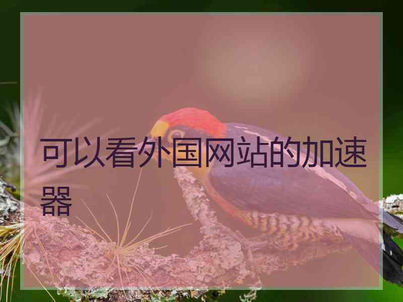 可以看外国网站的加速器