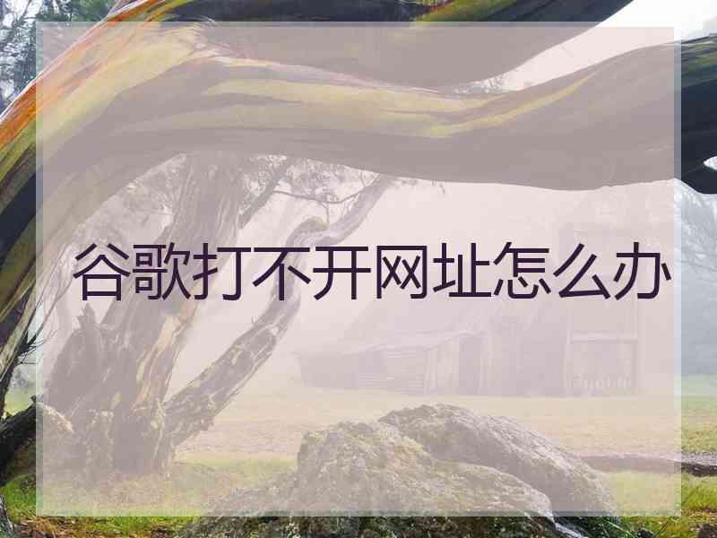 谷歌打不开网址怎么办