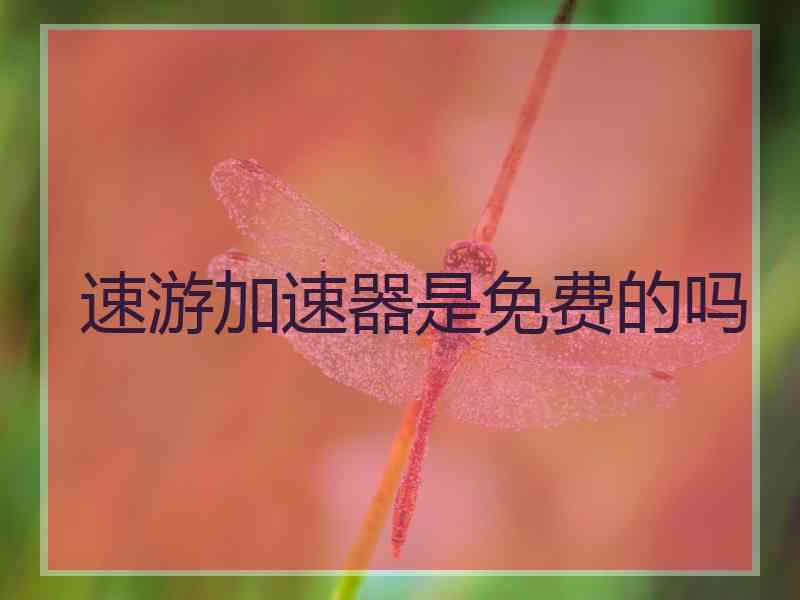 速游加速器是免费的吗
