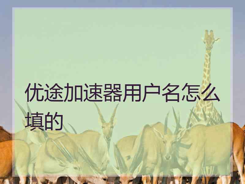 优途加速器用户名怎么填的