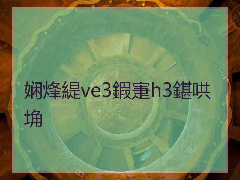 娴烽緹ve3鍜寁h3鍖哄埆