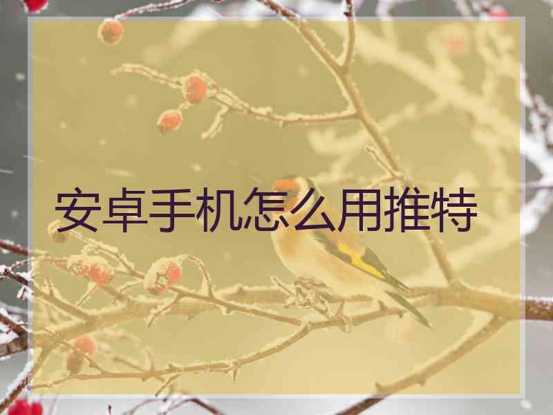 安卓手机怎么用推特
