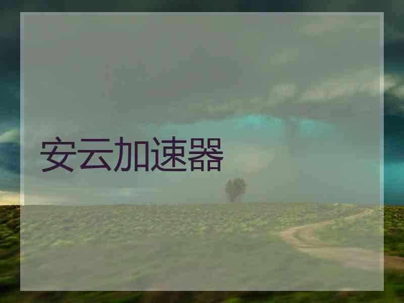 安云加速器