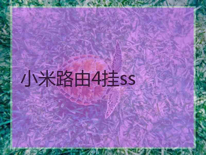 小米路由4挂ss