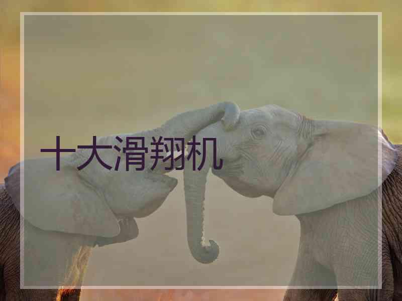 十大滑翔机