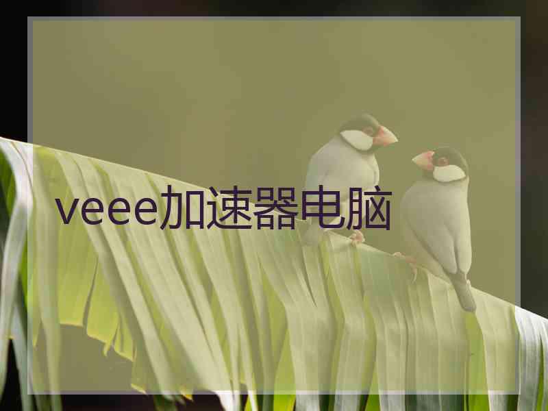 veee加速器电脑