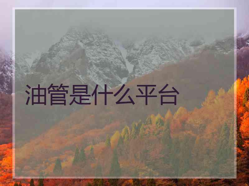 油管是什么平台
