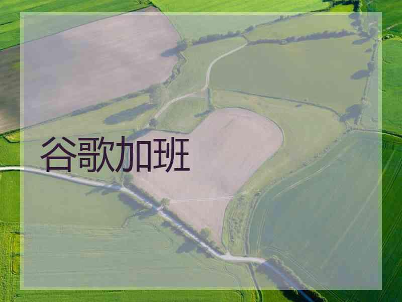 谷歌加班