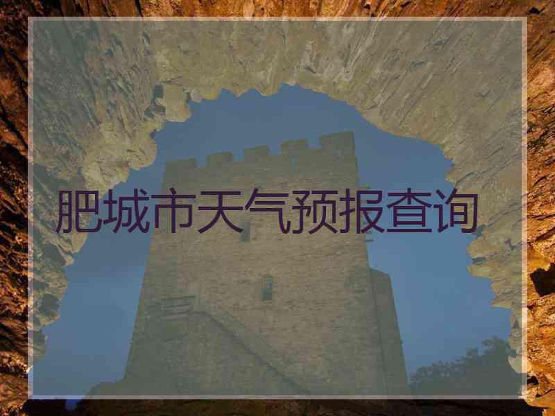 肥城市天气预报查询