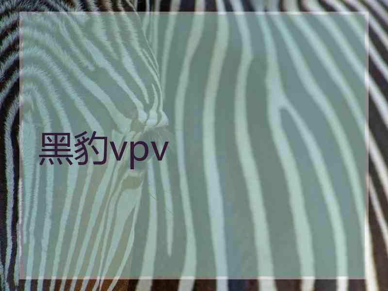 黑豹vpv