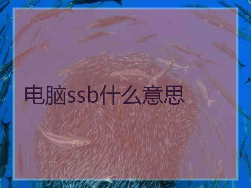 电脑ssb什么意思