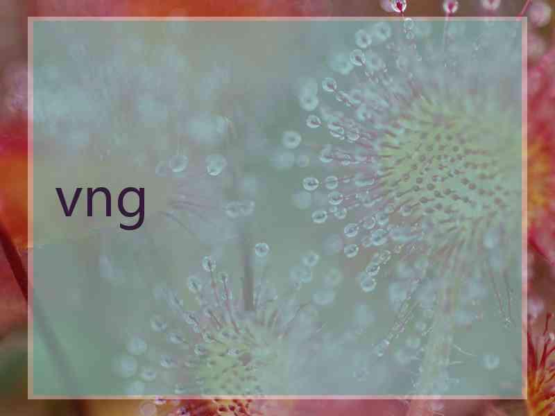 vng