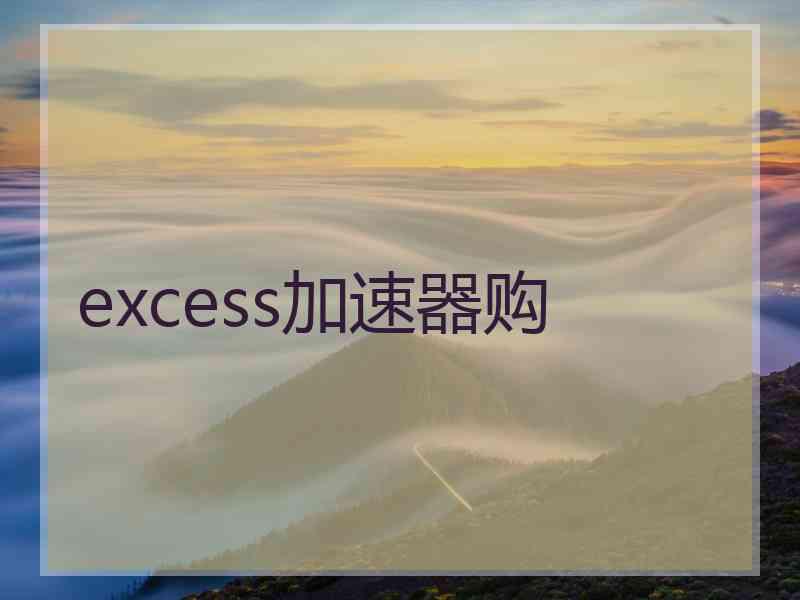 excess加速器购