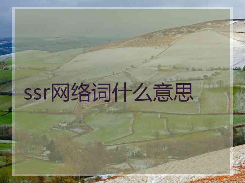 ssr网络词什么意思
