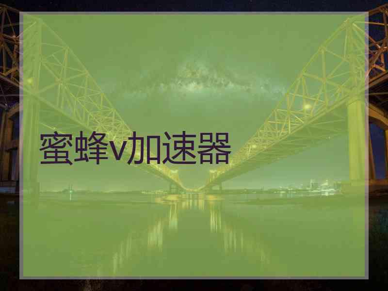 蜜蜂v加速器
