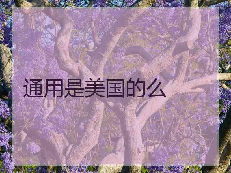 通用是美国的么