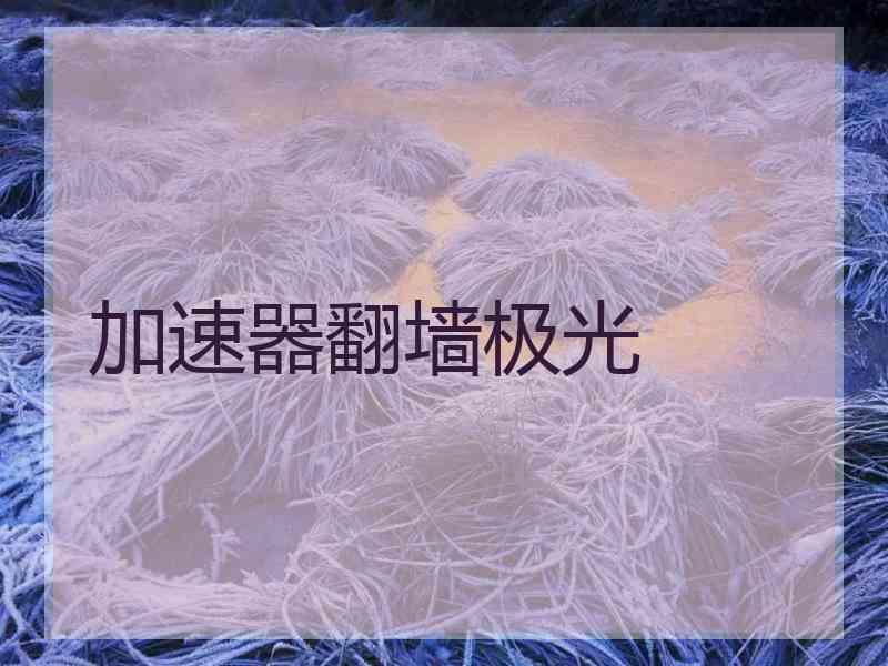 加速器翻墙极光