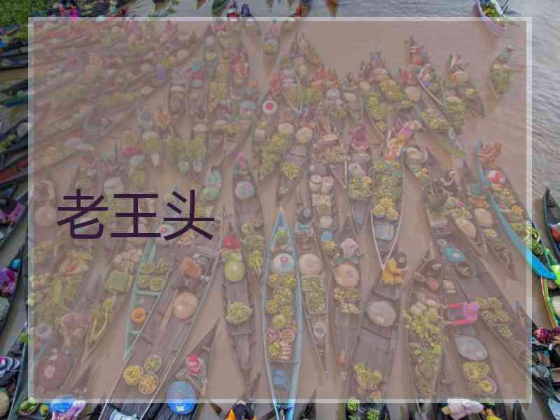 老王头