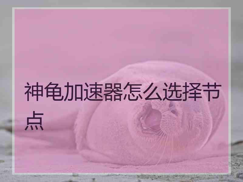 神龟加速器怎么选择节点