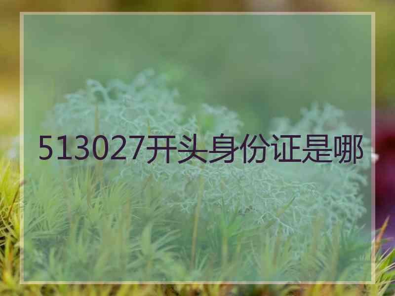 513027开头身份证是哪