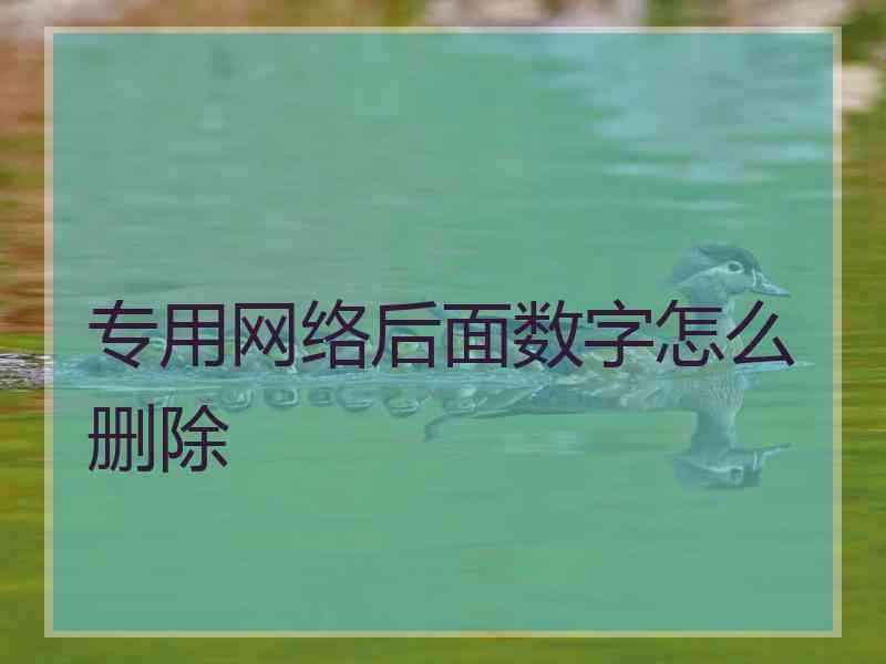 专用网络后面数字怎么删除