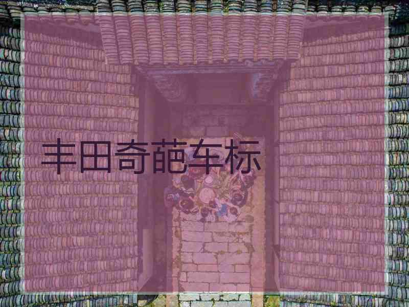 丰田奇葩车标