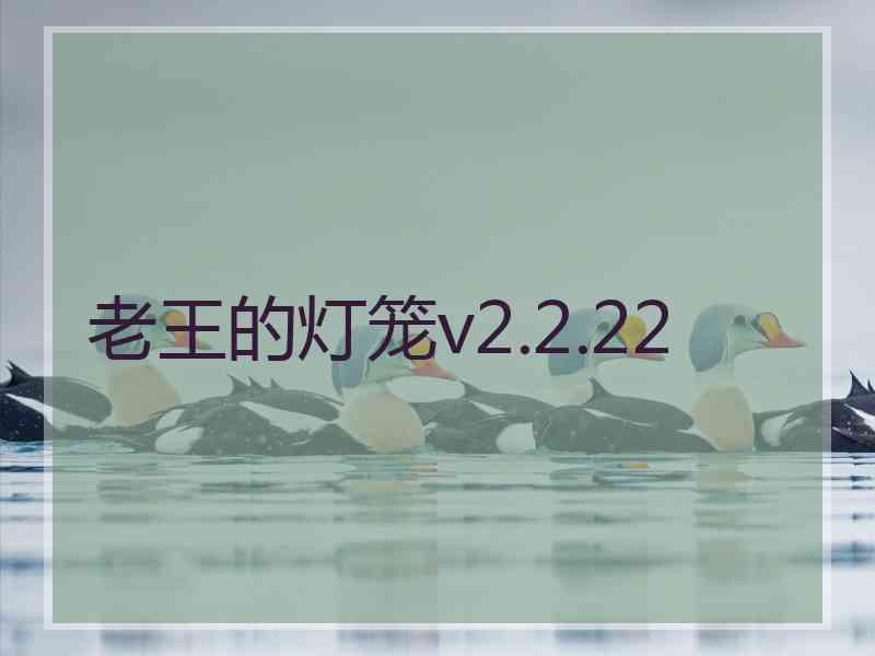 老王的灯笼v2.2.22