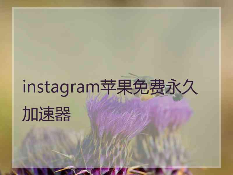 instagram苹果免费永久加速器