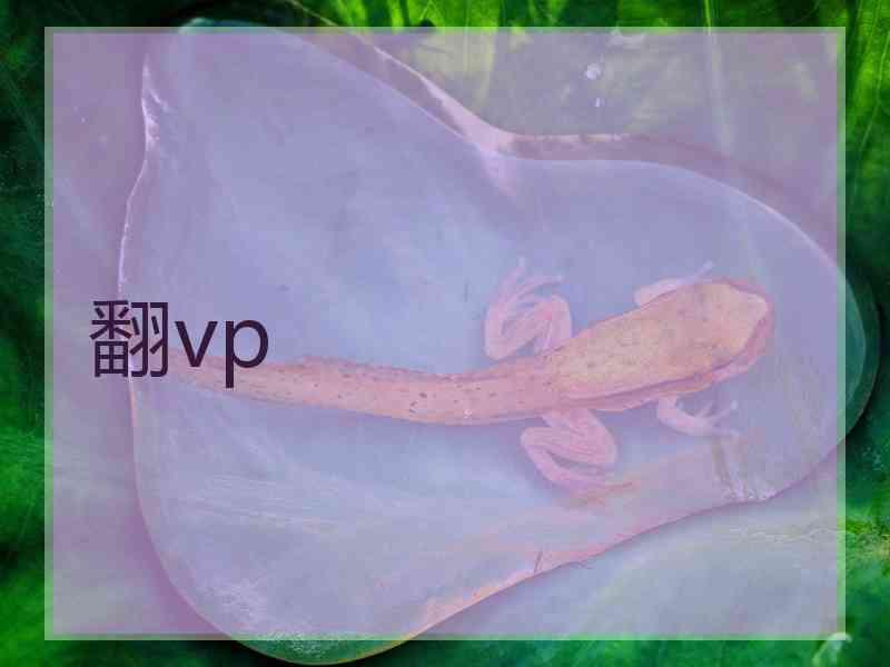 翻vp