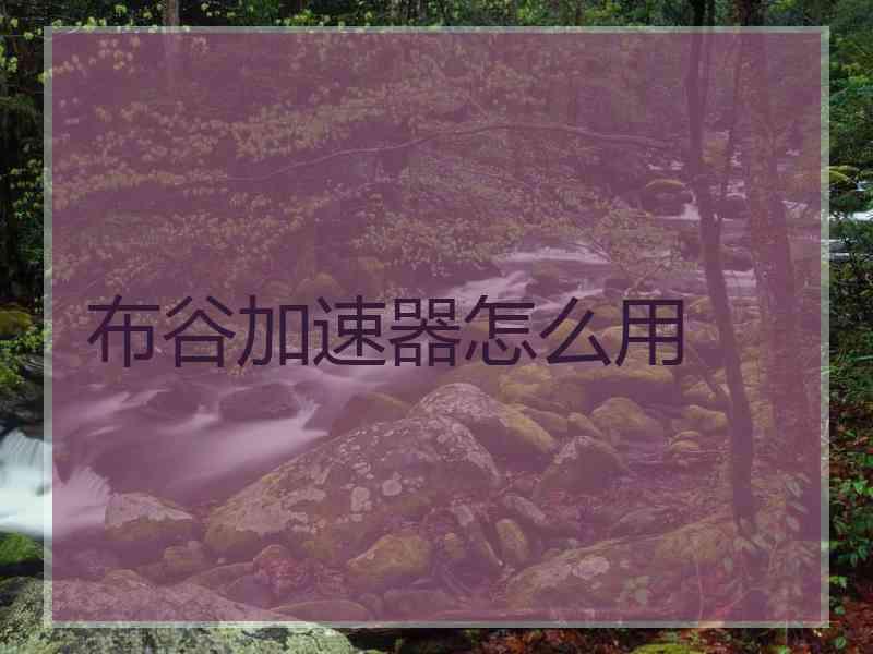 布谷加速器怎么用