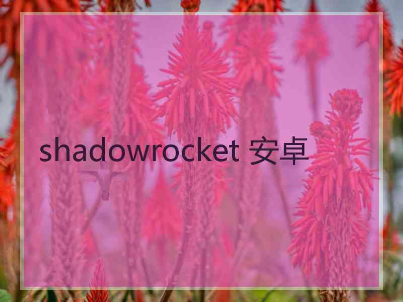 shadowrocket 安卓