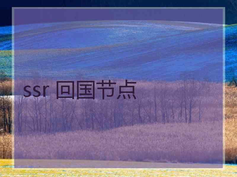ssr 回国节点