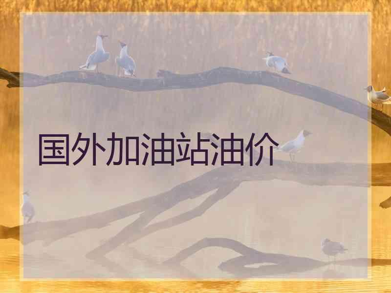 国外加油站油价
