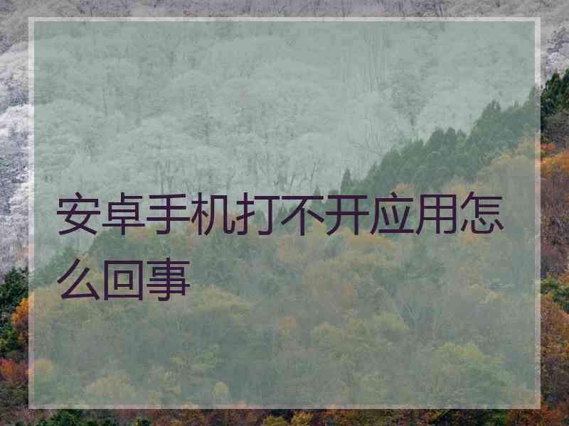 安卓手机打不开应用怎么回事