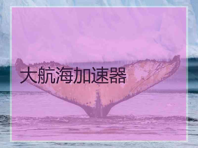 大航海加速器