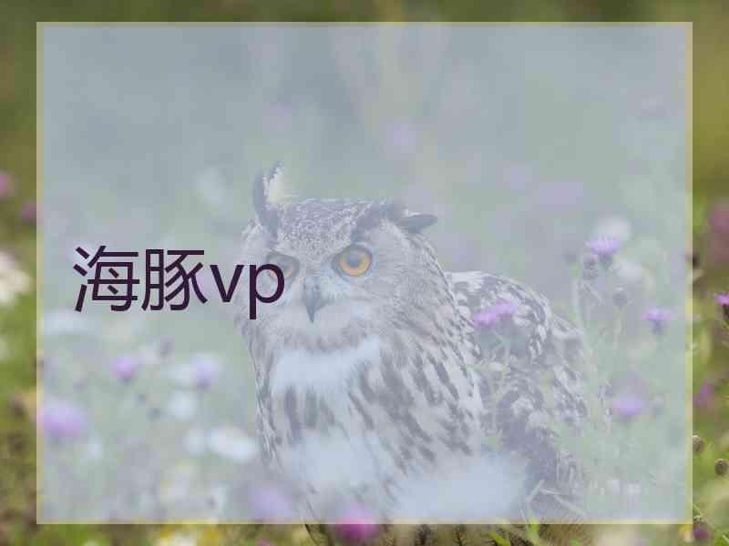 海豚vp