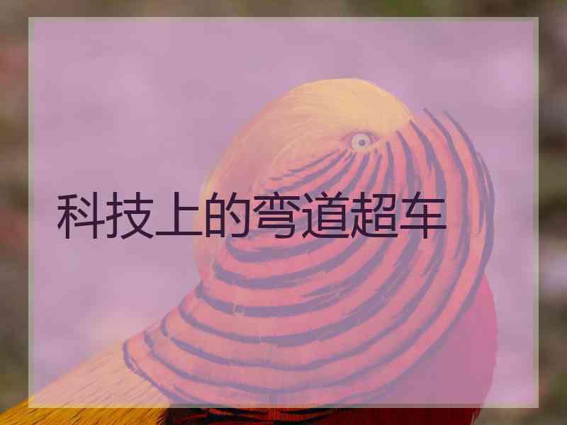 科技上的弯道超车