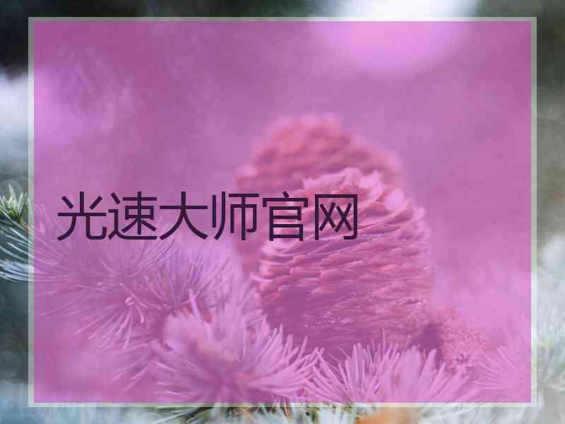 光速大师官网