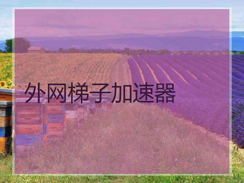 外网梯子加速器