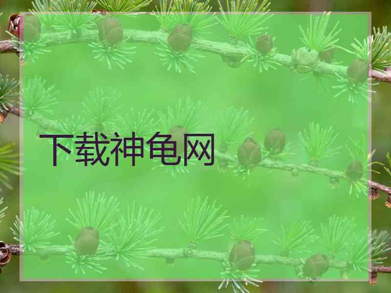 下载神龟网