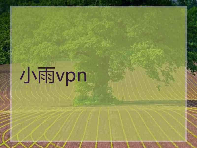 小雨vpn