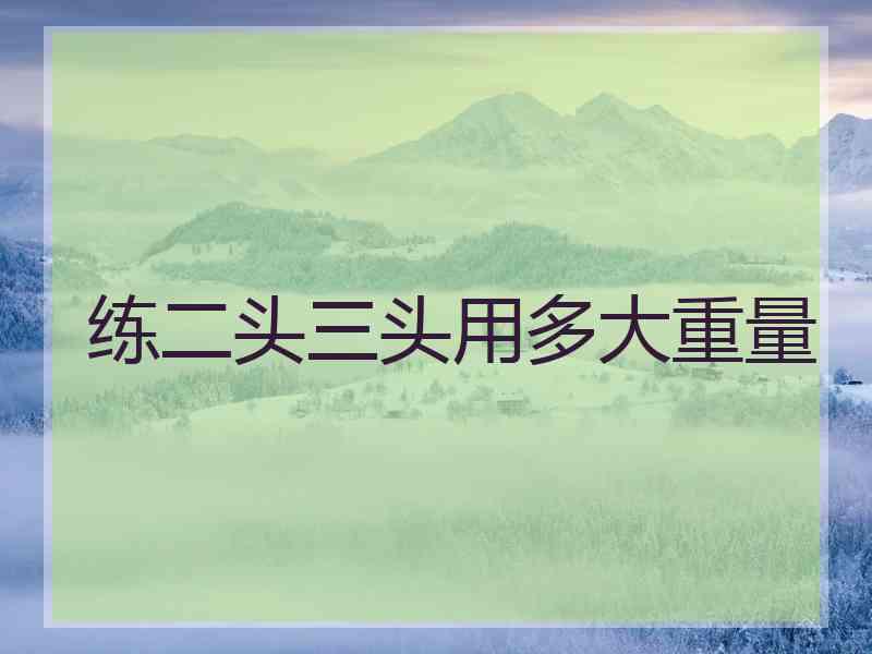 练二头三头用多大重量